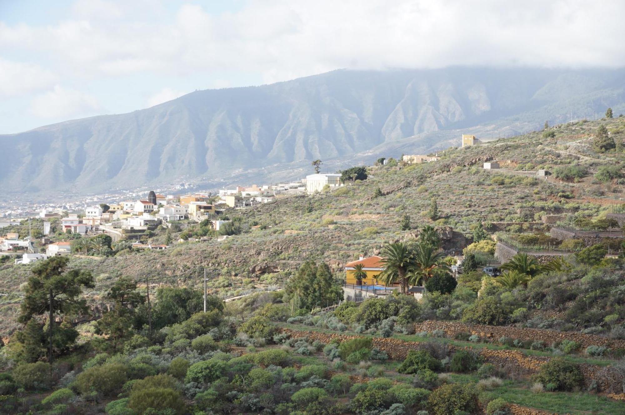 Casa Colores Tenerife Guesthouse Candelaria Luaran gambar